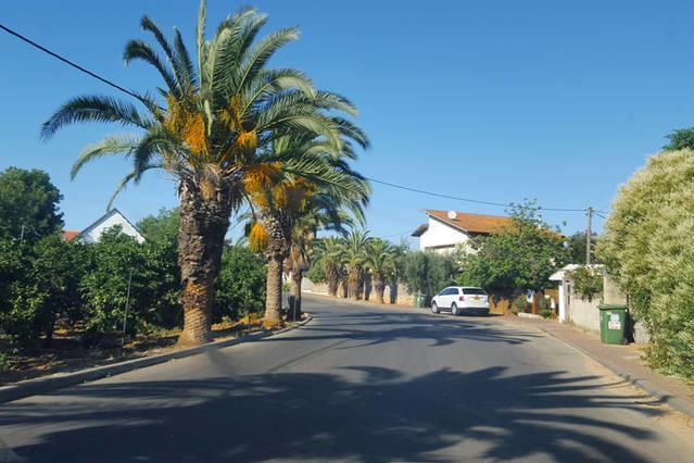 Benny'S Studio Beit Hanan Dış mekan fotoğraf